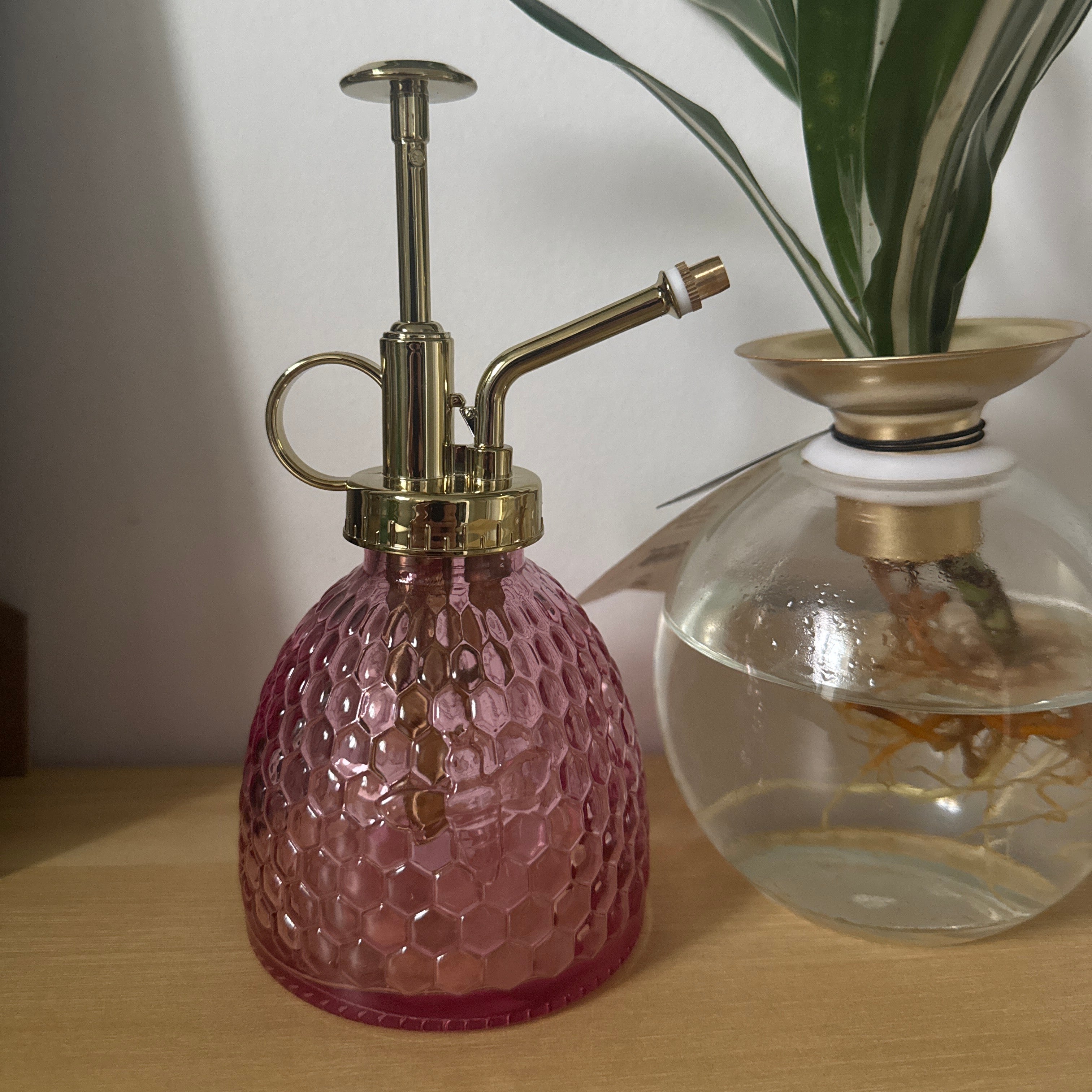 Plant Spritzer